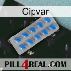 Cipvar 22
